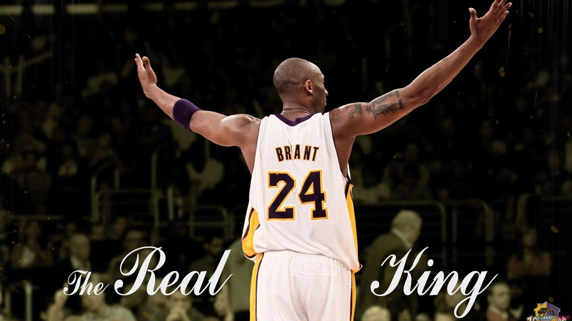 NBA球员技术动作细节分析，nba球员经典动作视频